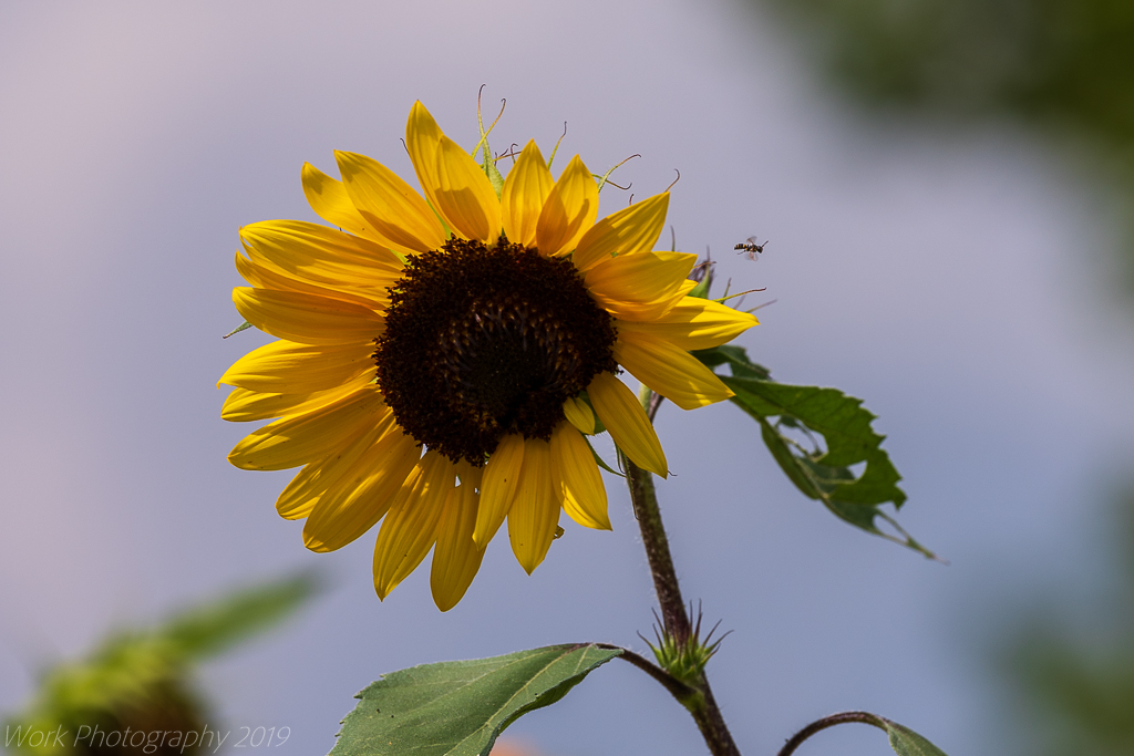 untitled shoot-5959.jpg