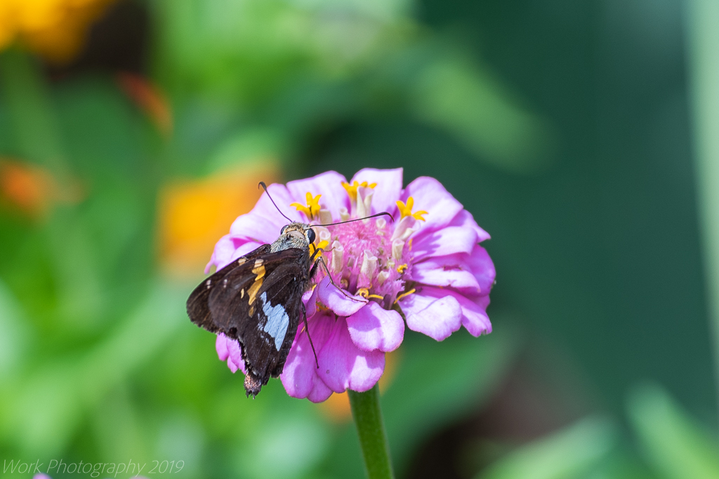 untitled shoot-5967.jpg