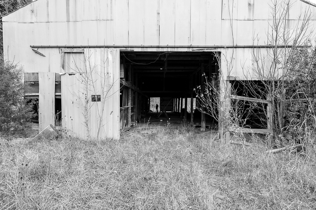 untitled shoot-8580.JPG