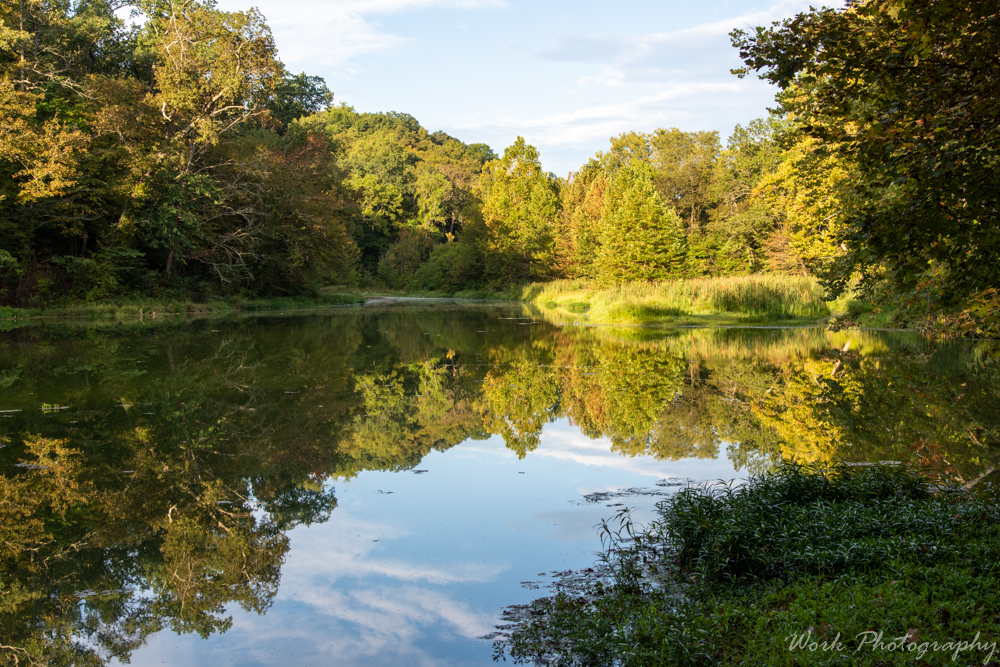 untitled shoot-8592-Edit.jpg