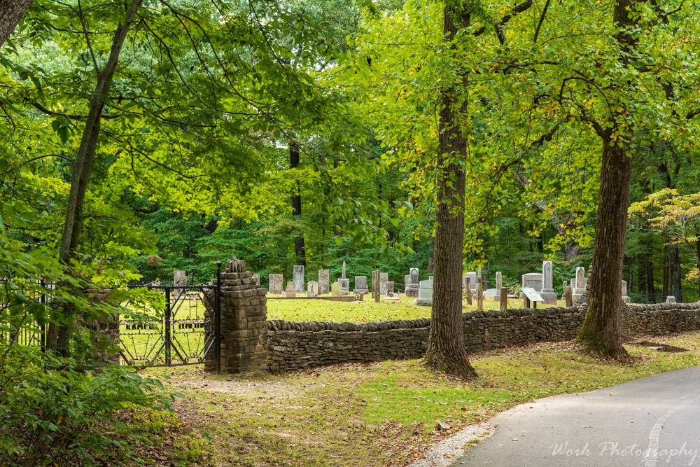 untitled shoot-8712-Edit.jpg