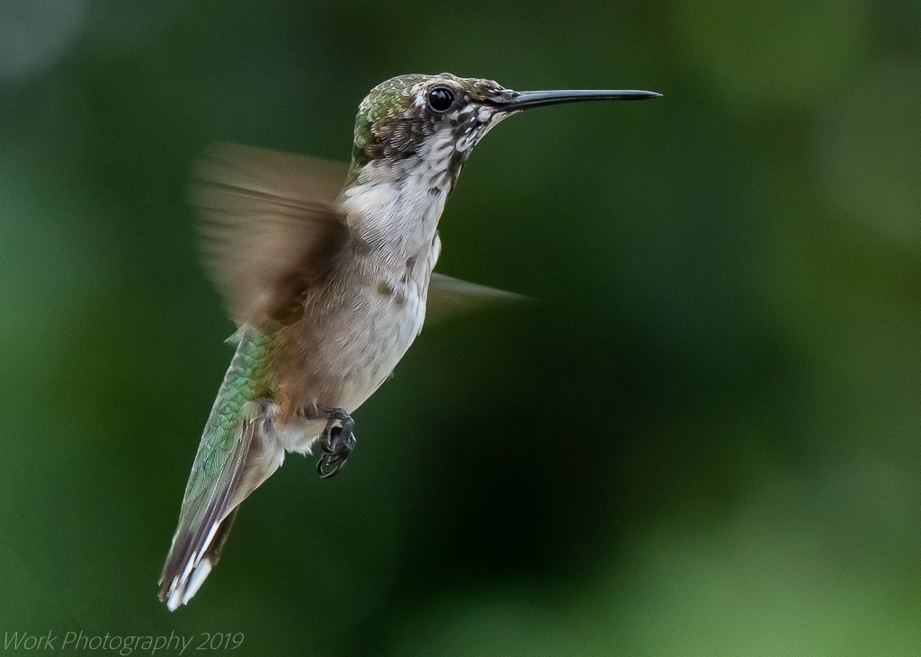 untitled shoot-8801-Edit.jpg
