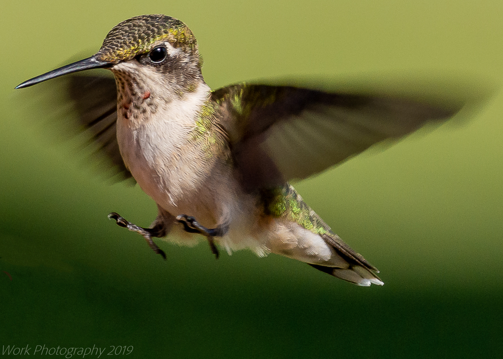 untitled shoot-8824-Edit.jpg