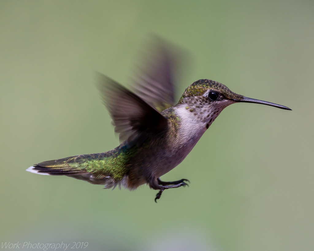 untitled shoot-8921-Edit.JPG