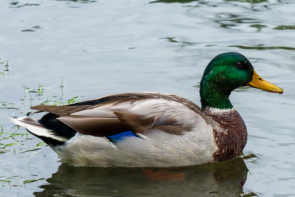 untitled shoot-9183-Edit.JPG