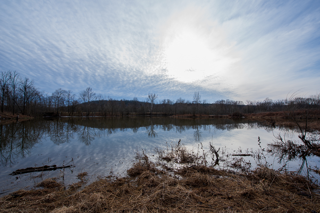 untitled shoot-9292.JPG