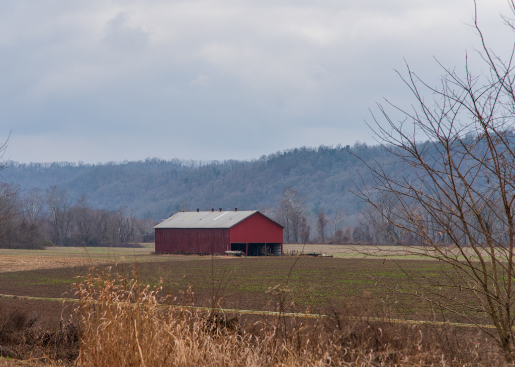 untitled shoot-9525.JPG