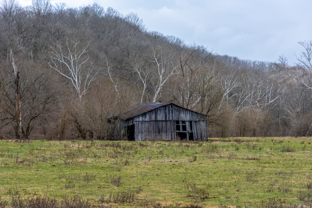 untitled shoot-9535-Edit.JPG
