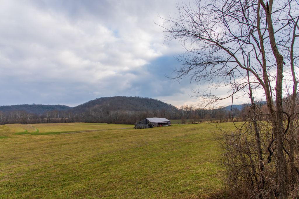 untitled shoot-9536-Edit.JPG