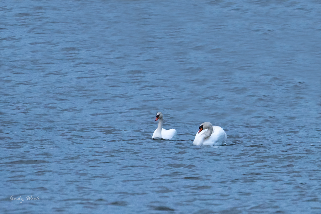 untitled shoot-9824-Edit.JPG