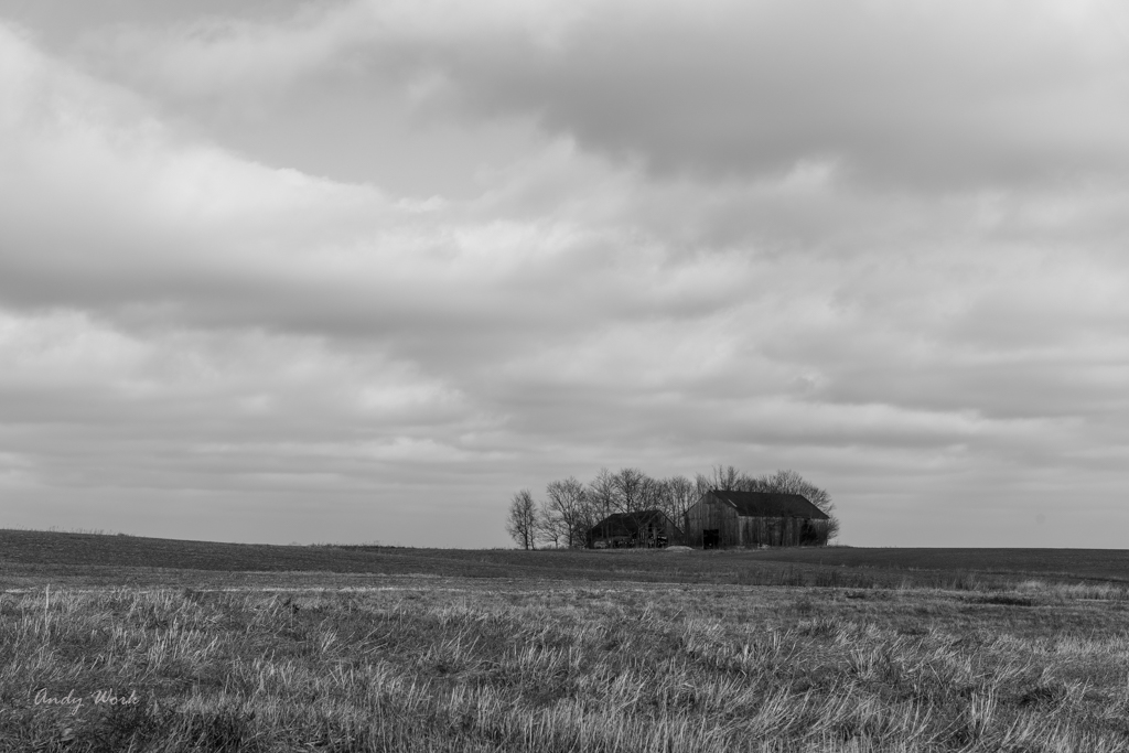 untitled shoot-9848.JPG