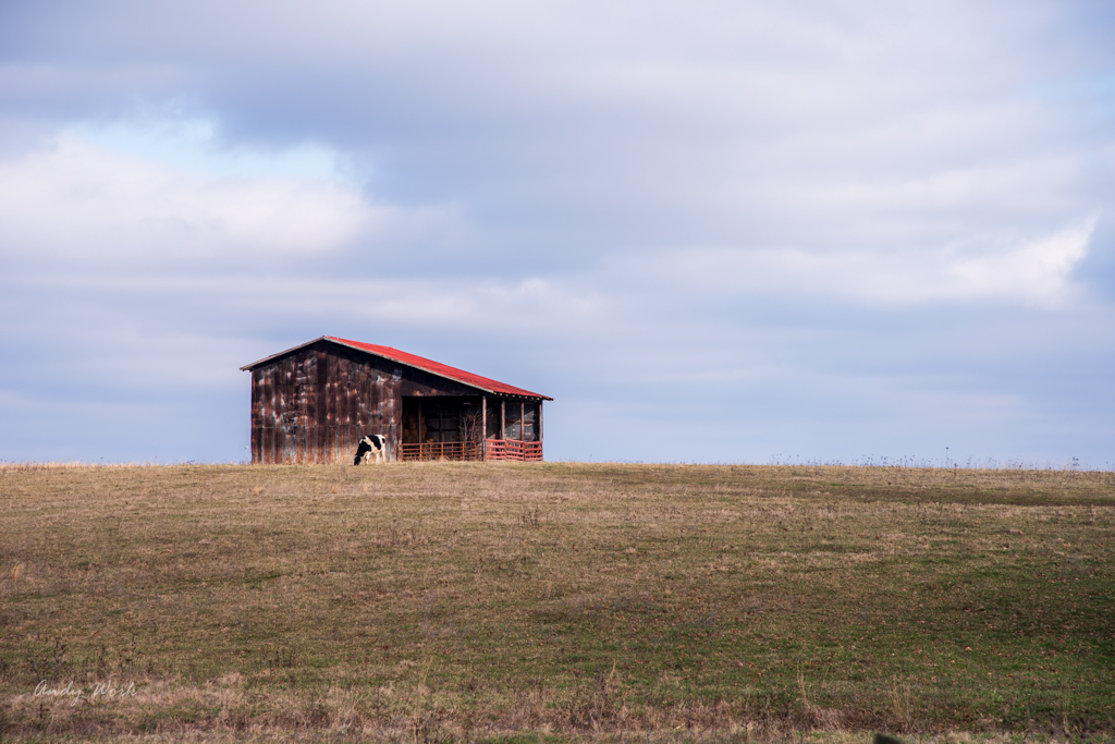untitled shoot-9854.JPG