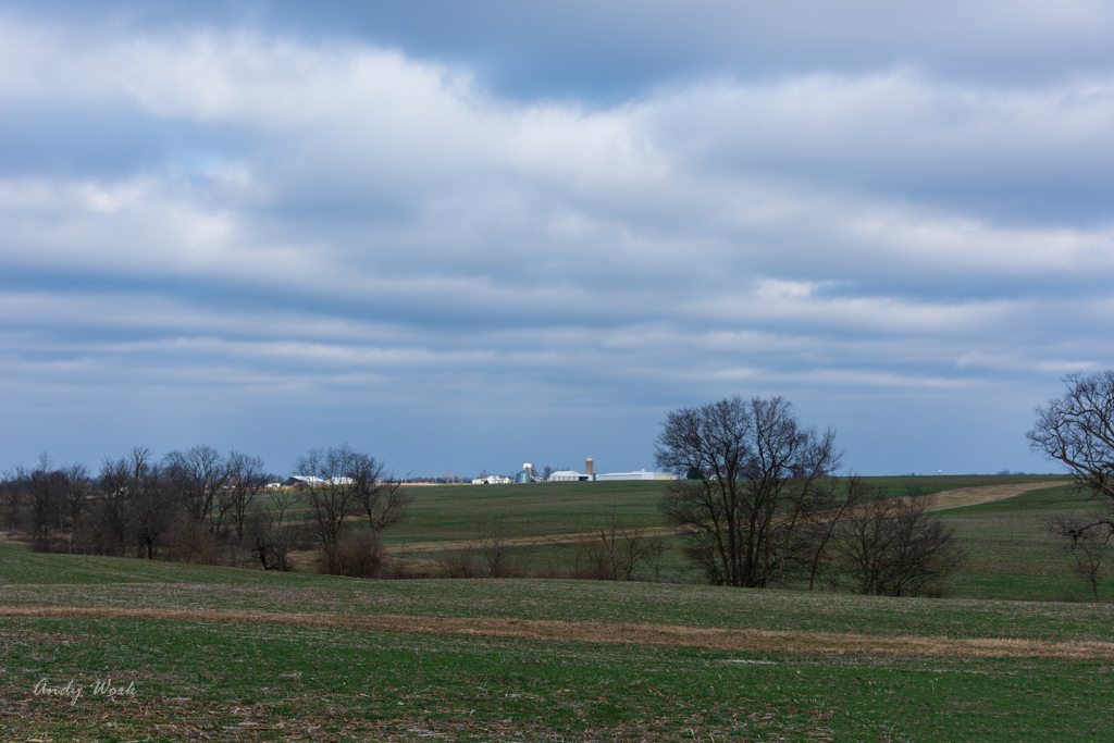 untitled shoot-9860-Edit.JPG