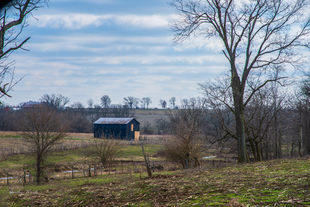 untitled shoot-9861-Edit.JPG