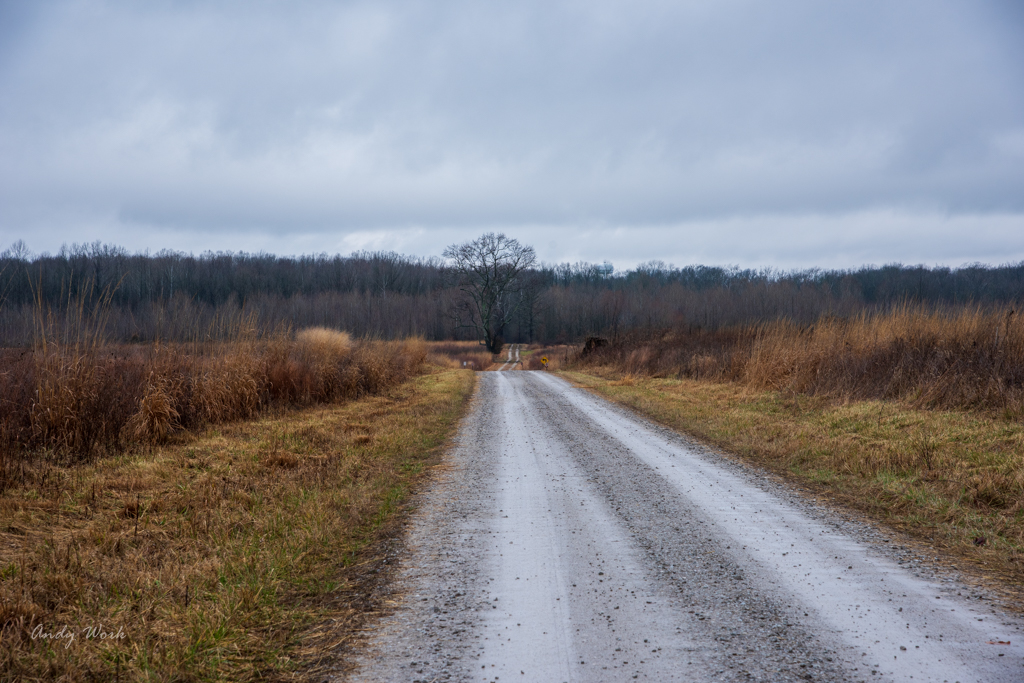 untitled shoot-9965.JPG