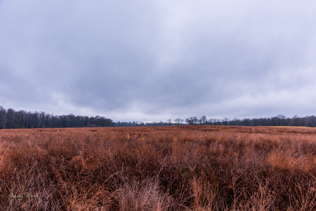 untitled shoot-9966.JPG