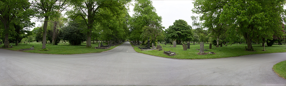 Untitled_Panorama1.jpg