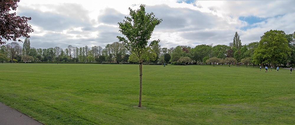 Untitled_Panorama2.jpg