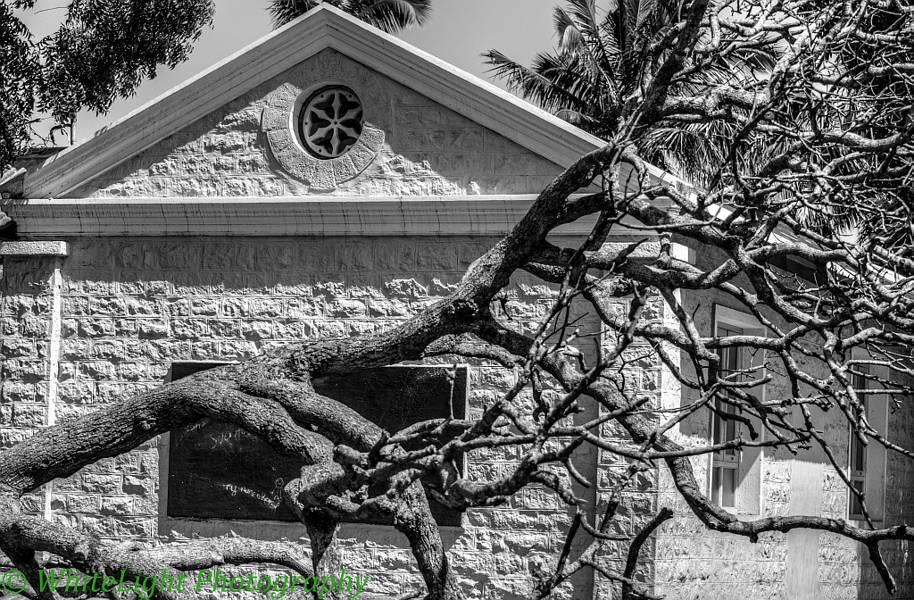 UP - 20121114-DSC_3399_Enhancer.jpg