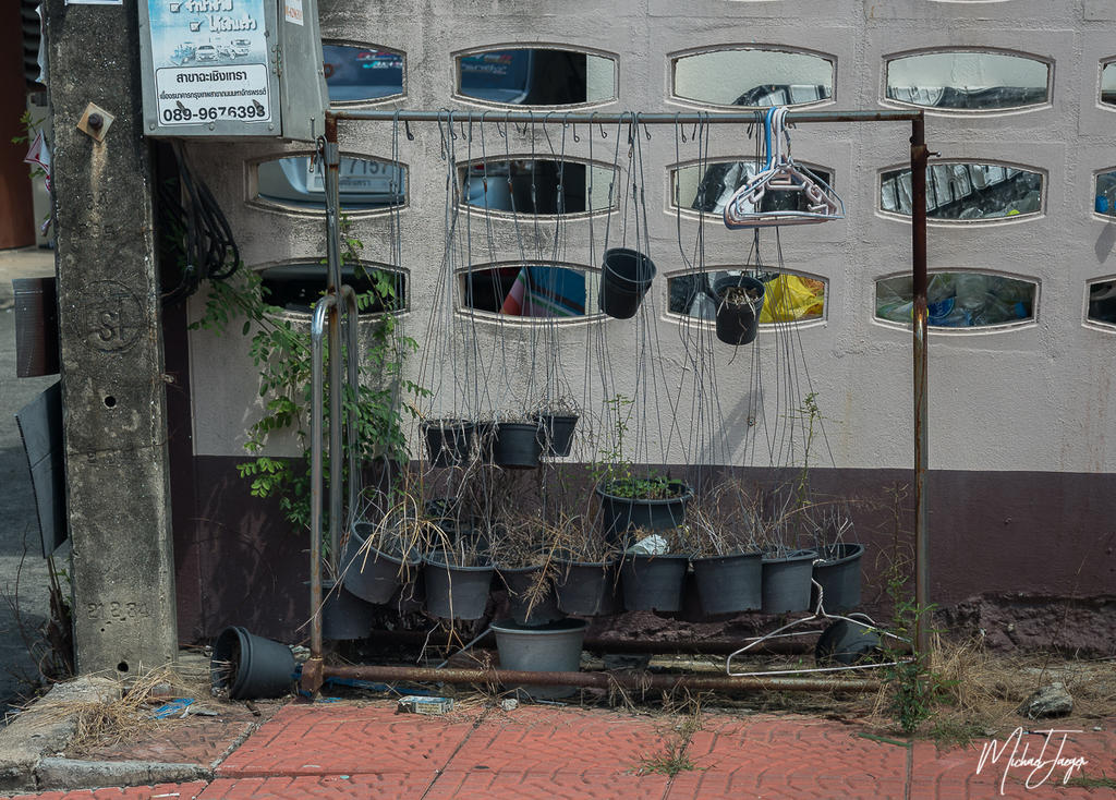 urban-cha-2.jpg