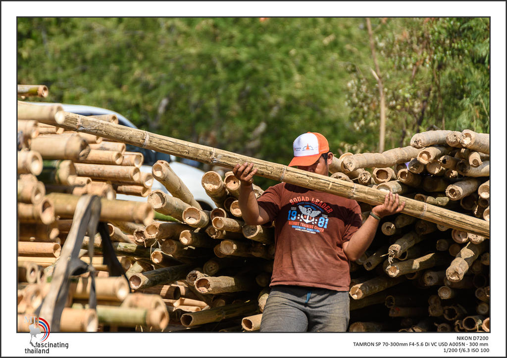 urban-Thailand-10.jpg