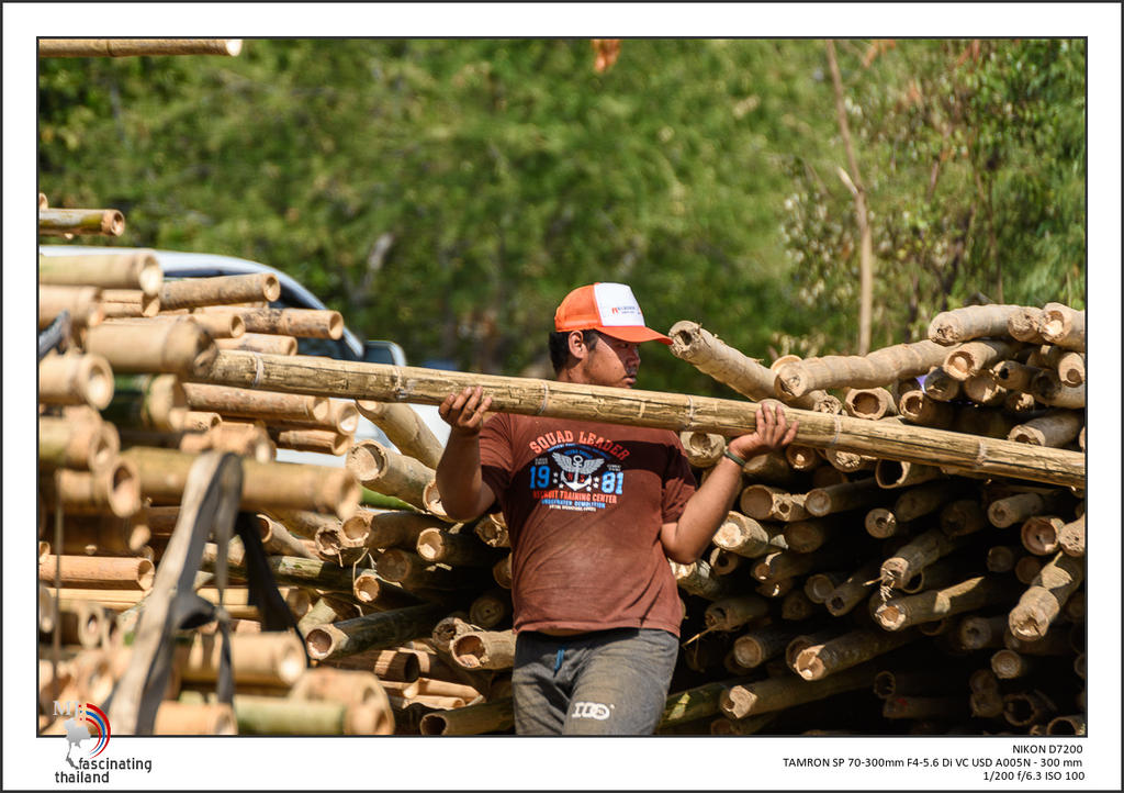 urban-Thailand-11.jpg