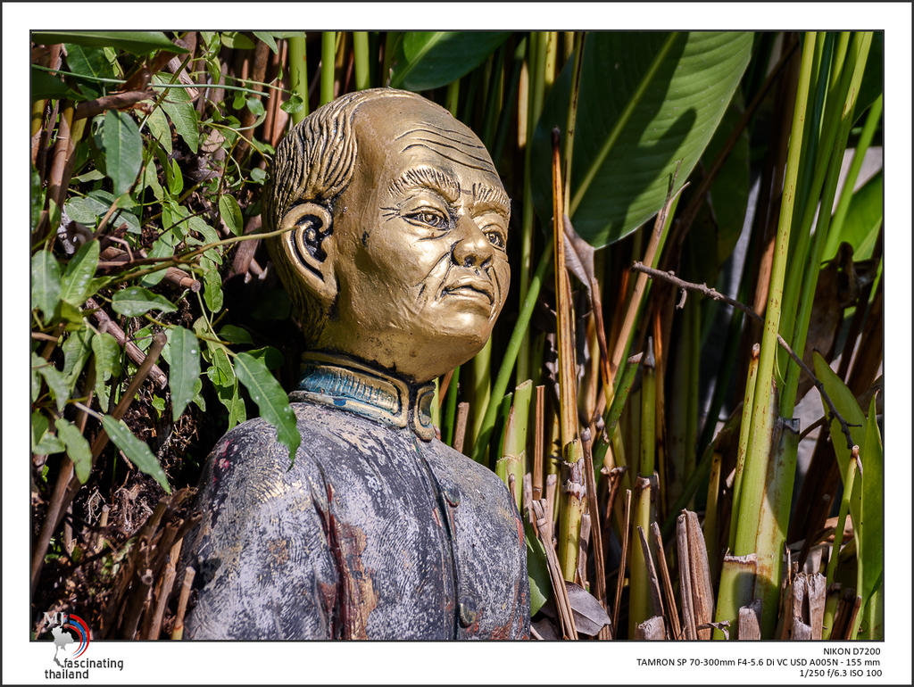 urban-Thailand-23.jpg