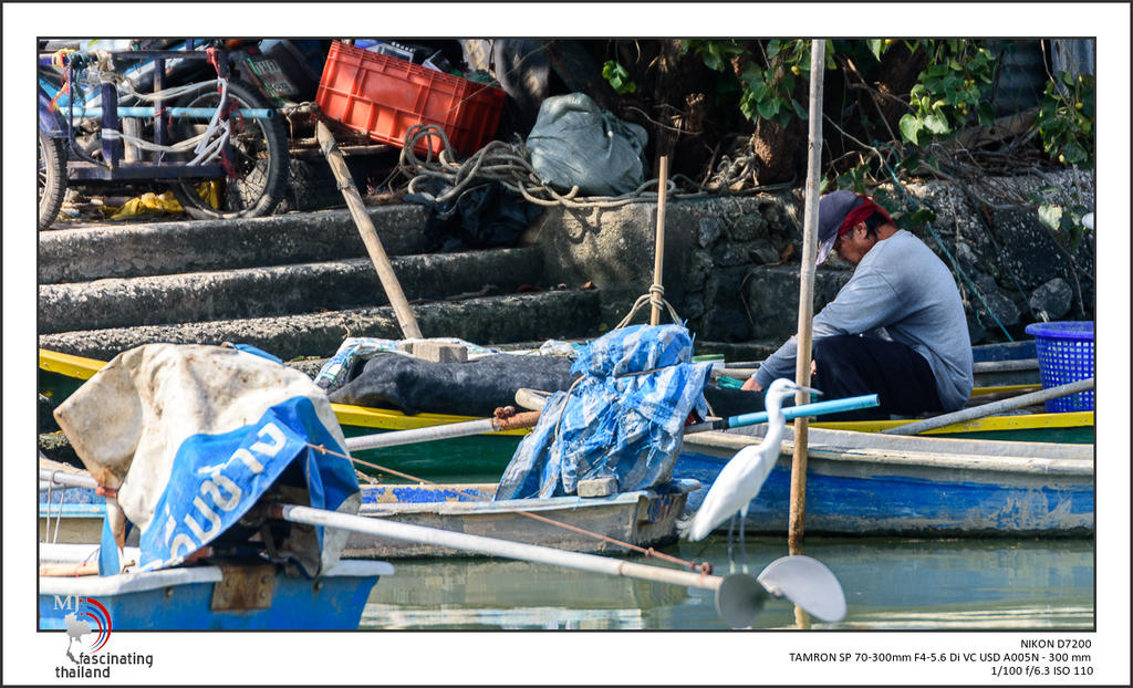 urban-Thailand-3.jpg