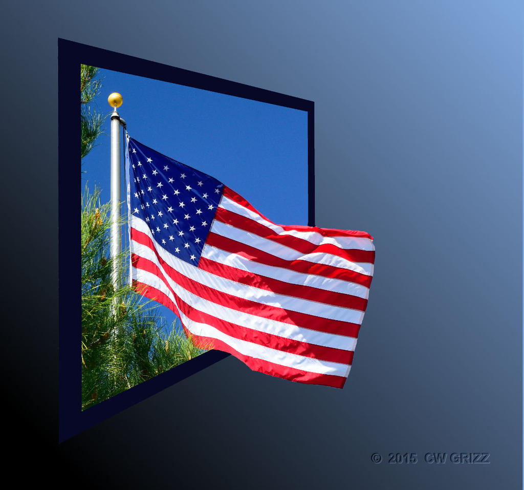 US_Flag-redo-frame-cr.jpg