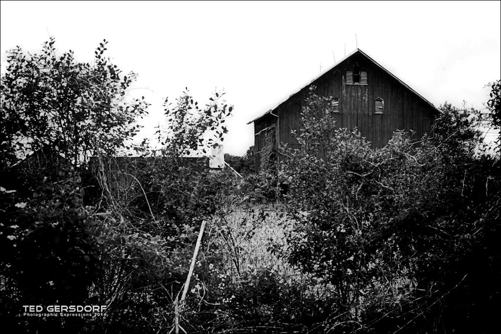 Valley City, Liverpool  14BW copy.jpg
