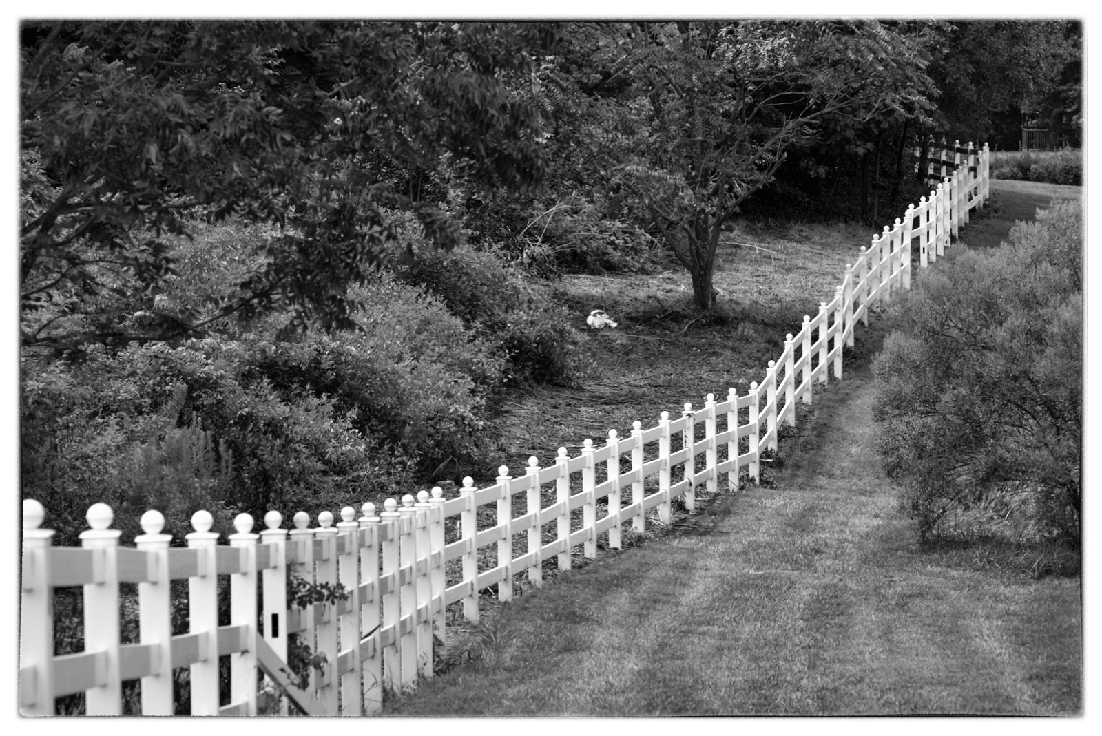 valley fence3.JPG