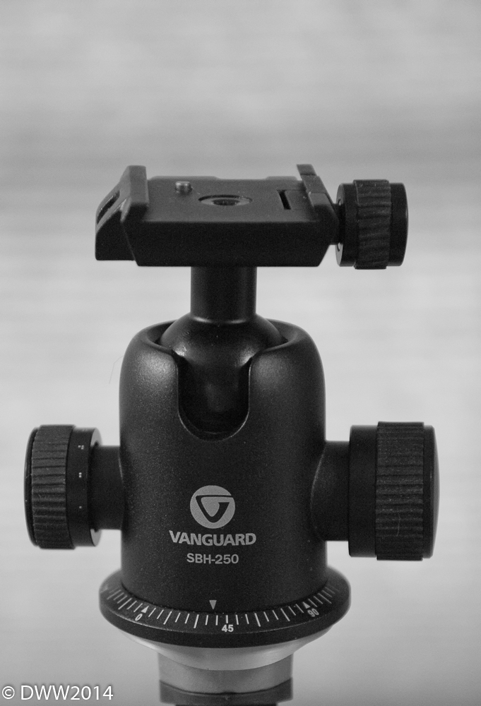 Vanguard 10159 (1 of 1).jpg