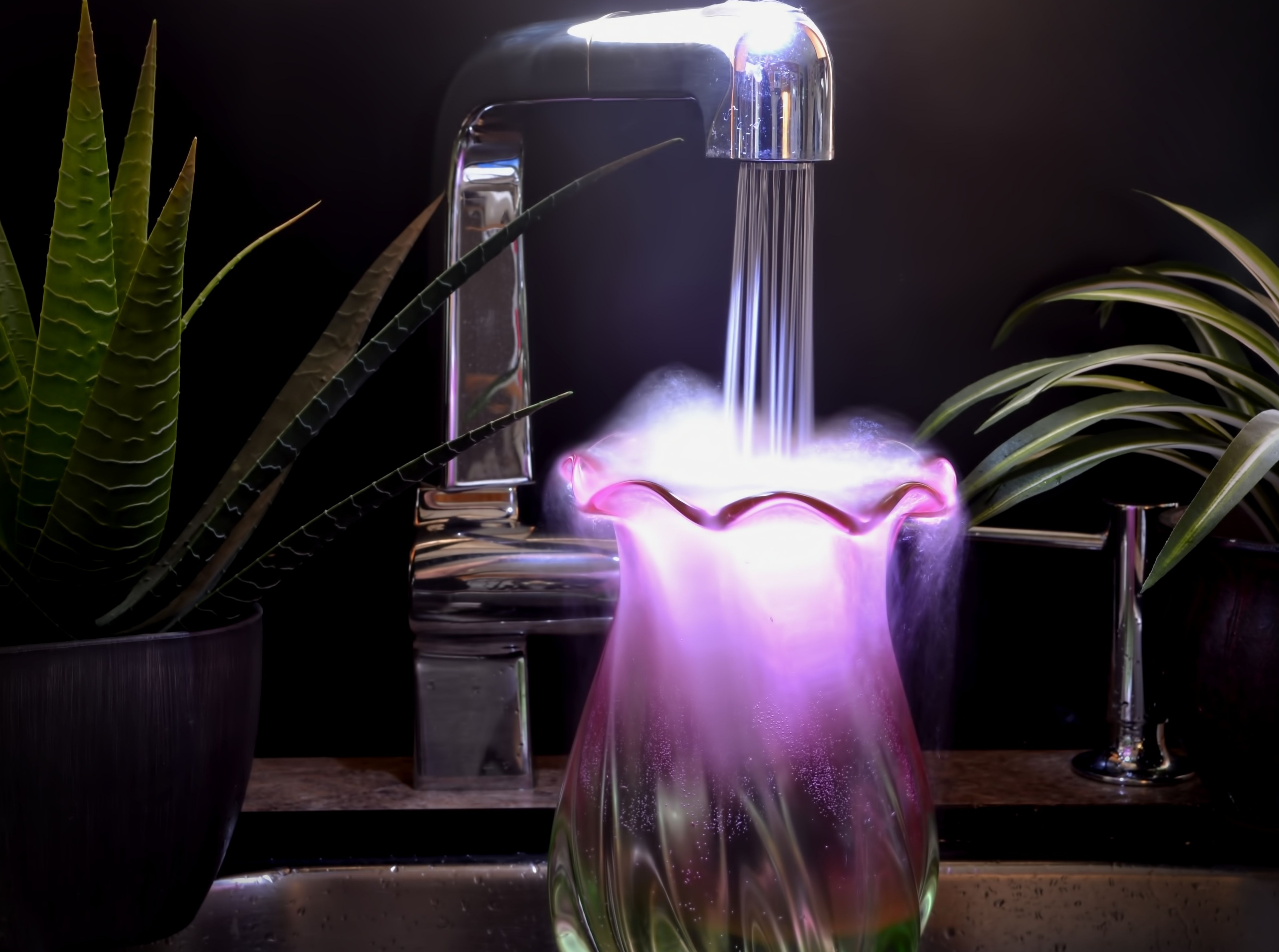vase LE blk back.jpg
