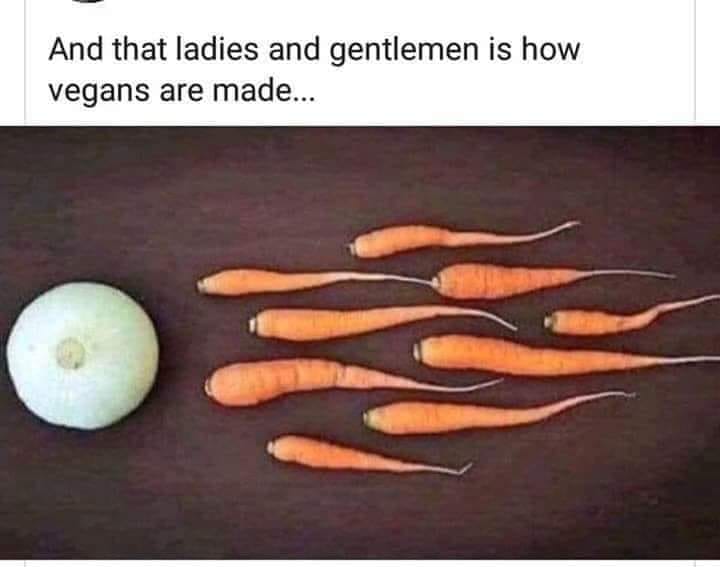vegan.jpg