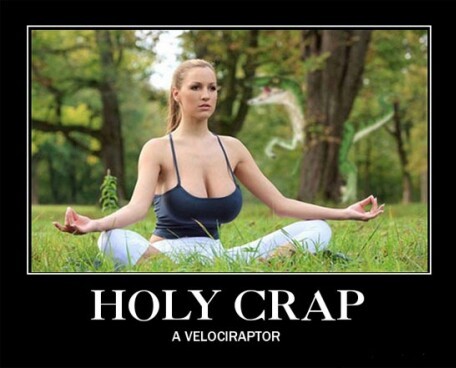 velo.jpeg