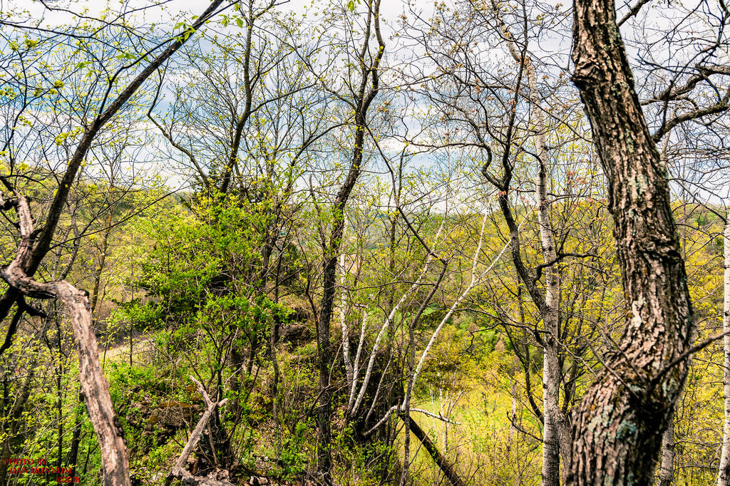 Vernon County 20180510-2478.jpg