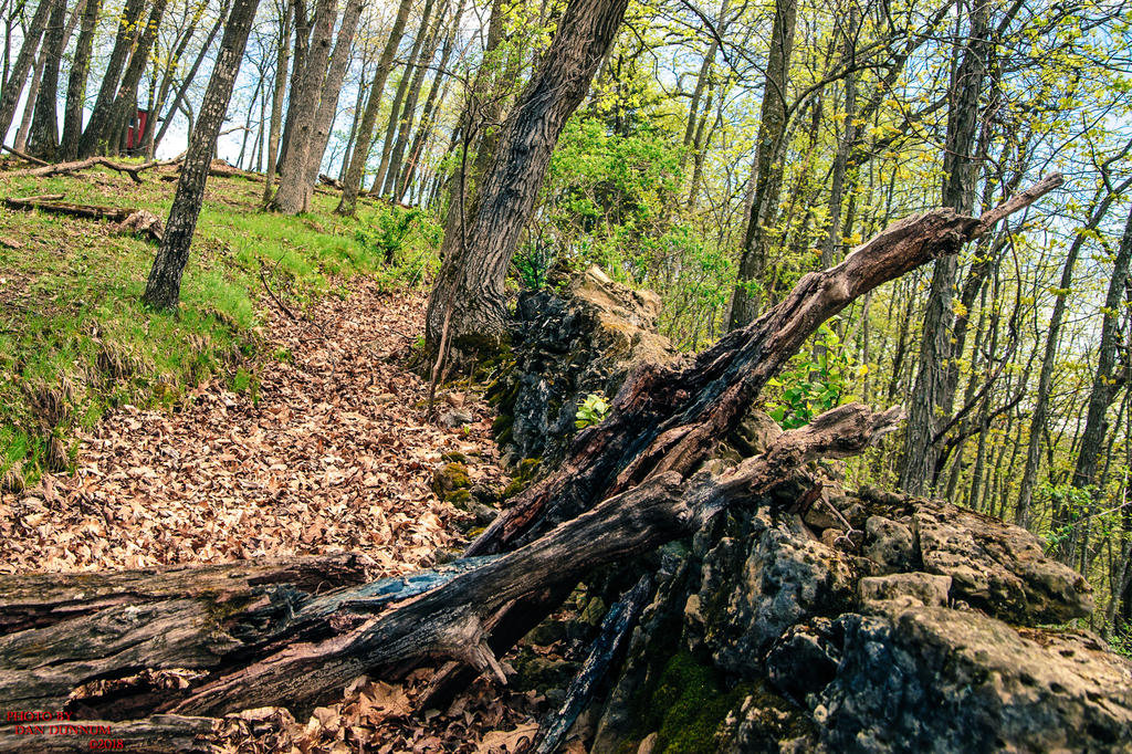 Vernon County 20180510-2482.jpg