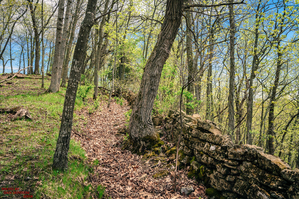 Vernon County 20180510-2490.jpg