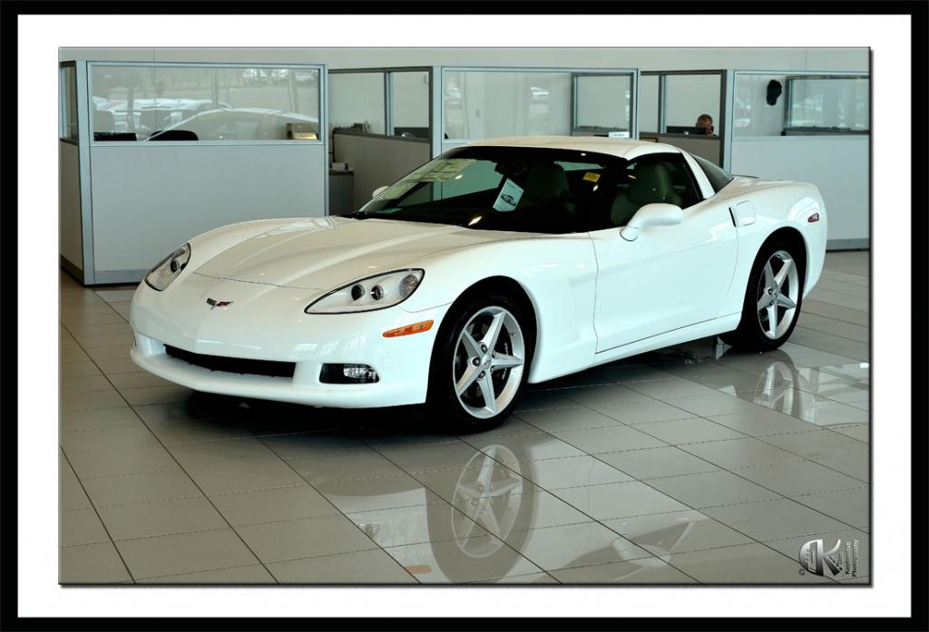 vette.jpg