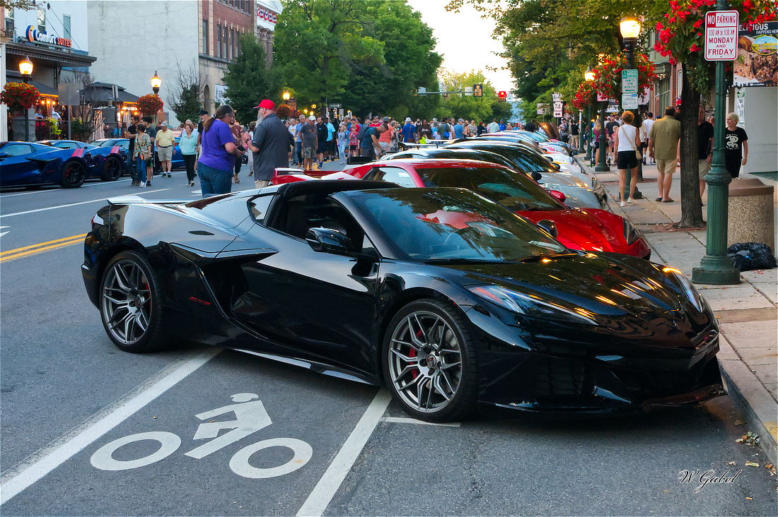 VettsCarlisle5764 sm.jpg