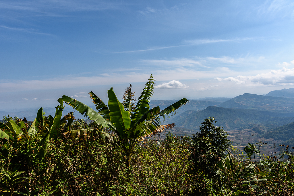 view-1.jpg