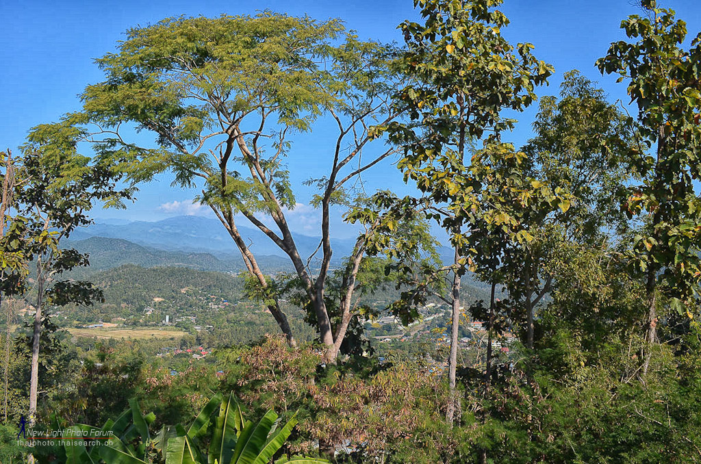 view-1.jpg
