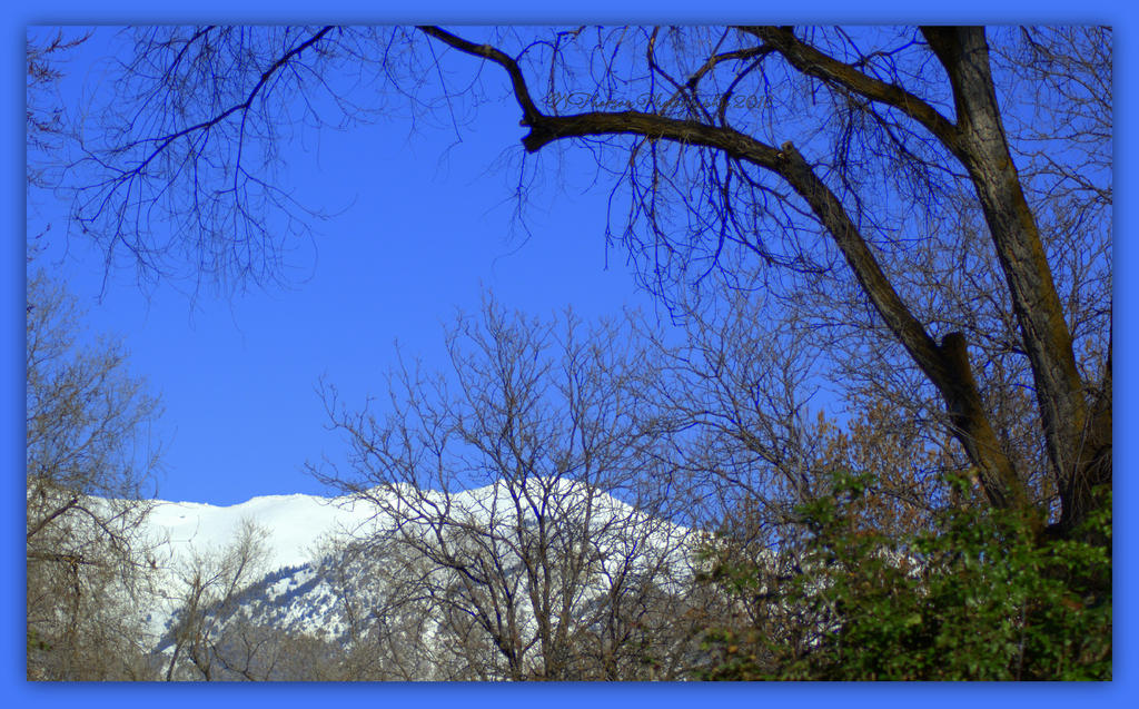 View from Layton Park 3-19-2016.jpg