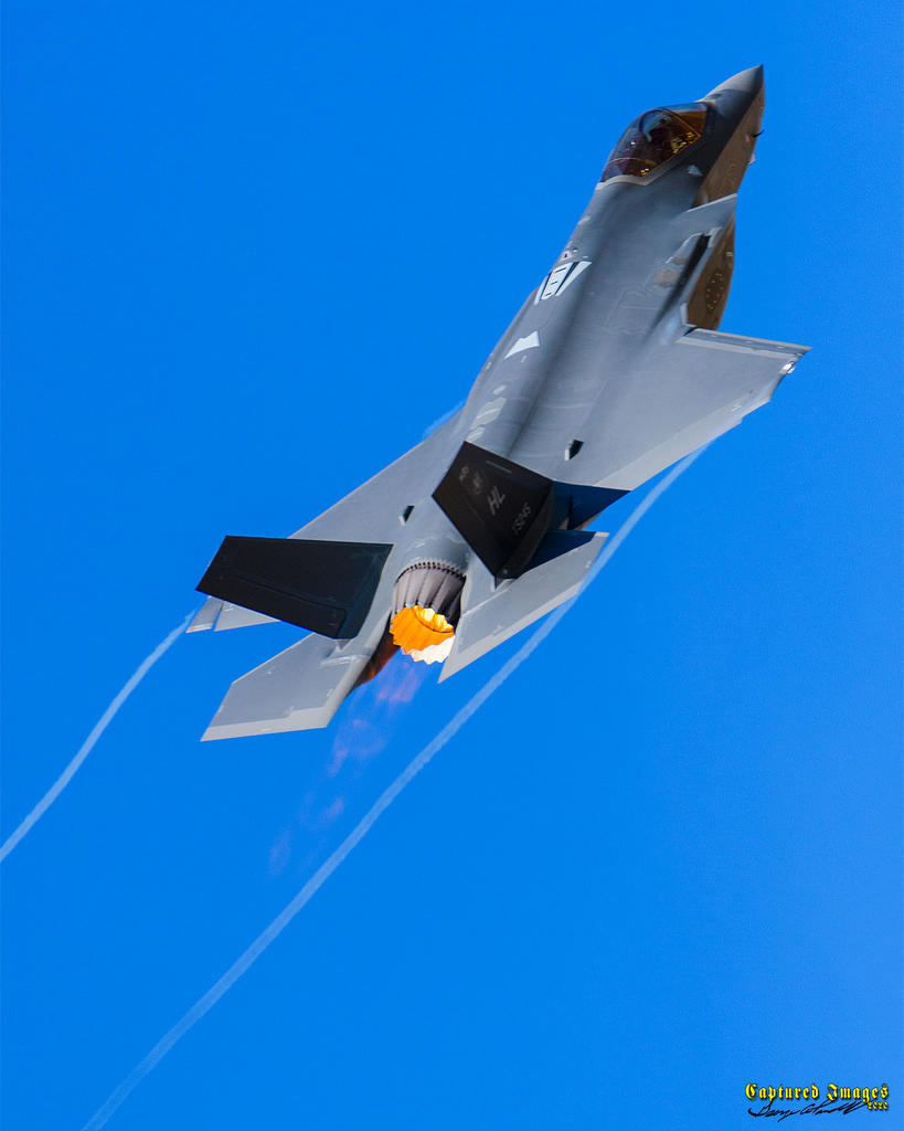 W_500_7383.jpg
