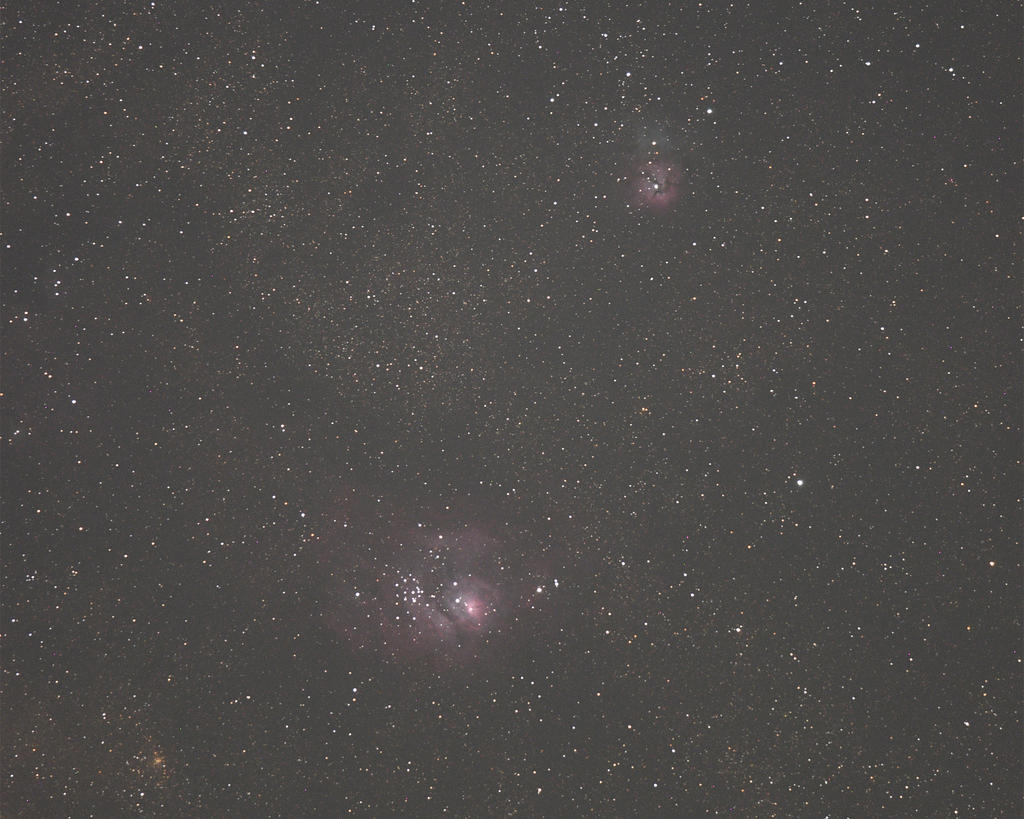 W_500_8778_raw.jpg