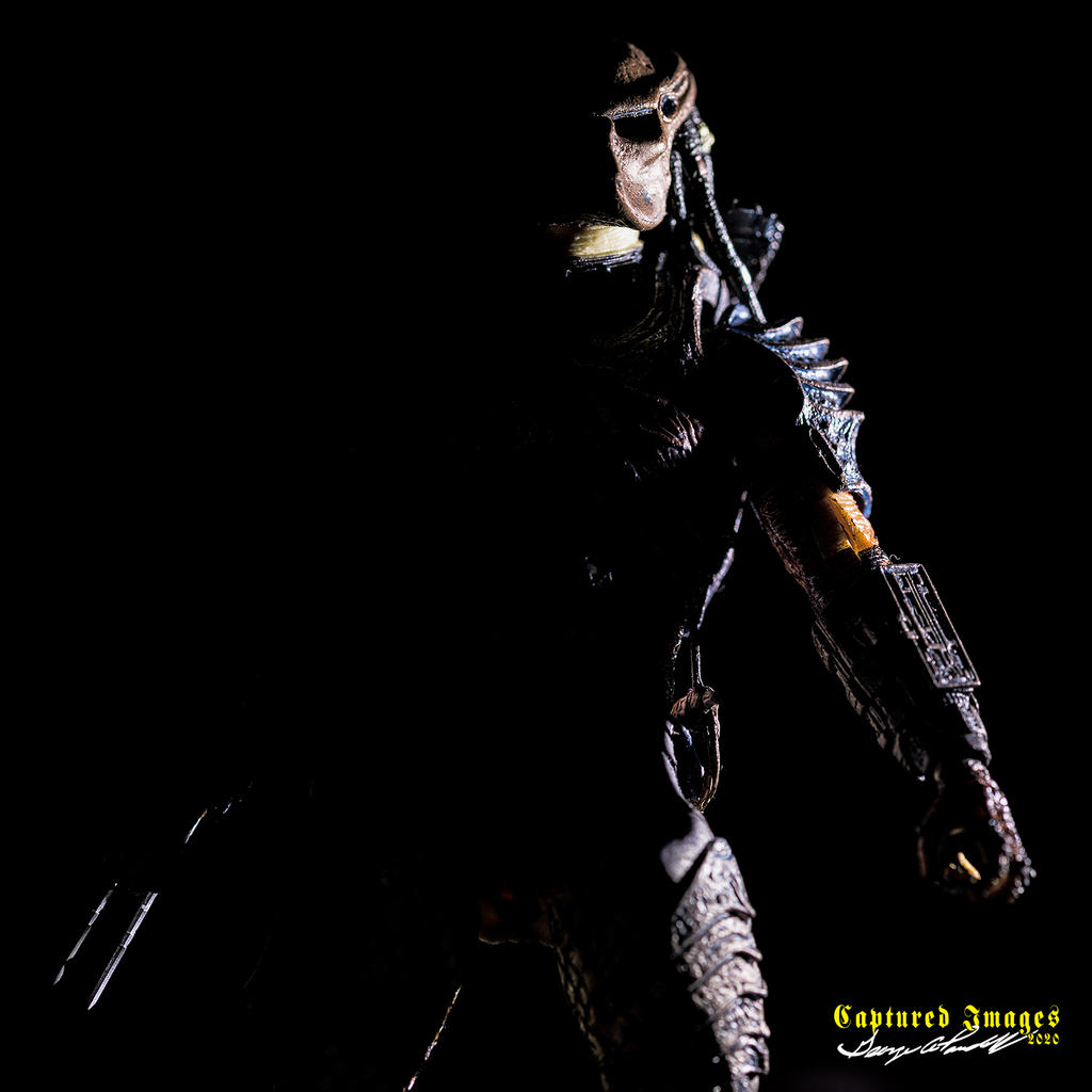 W_D85_3381.jpg