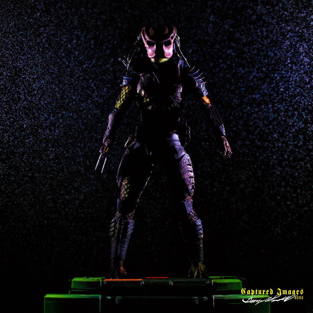 W_D85_3408.jpg