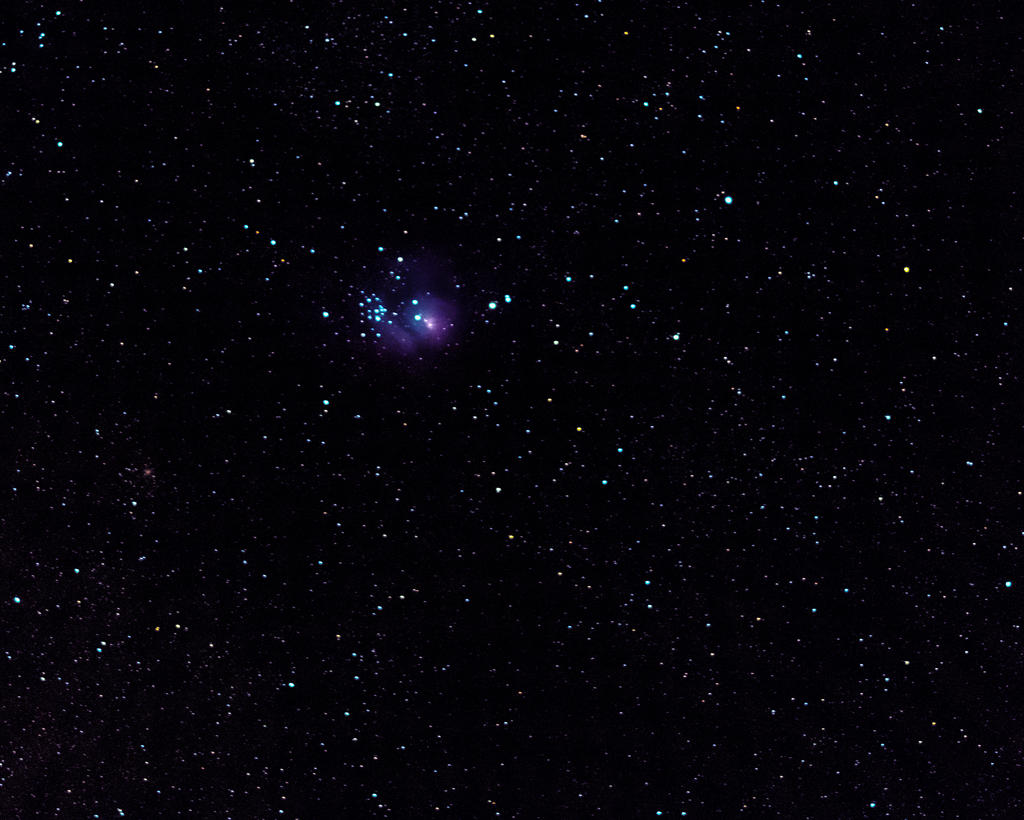 W_D85_5974.jpg