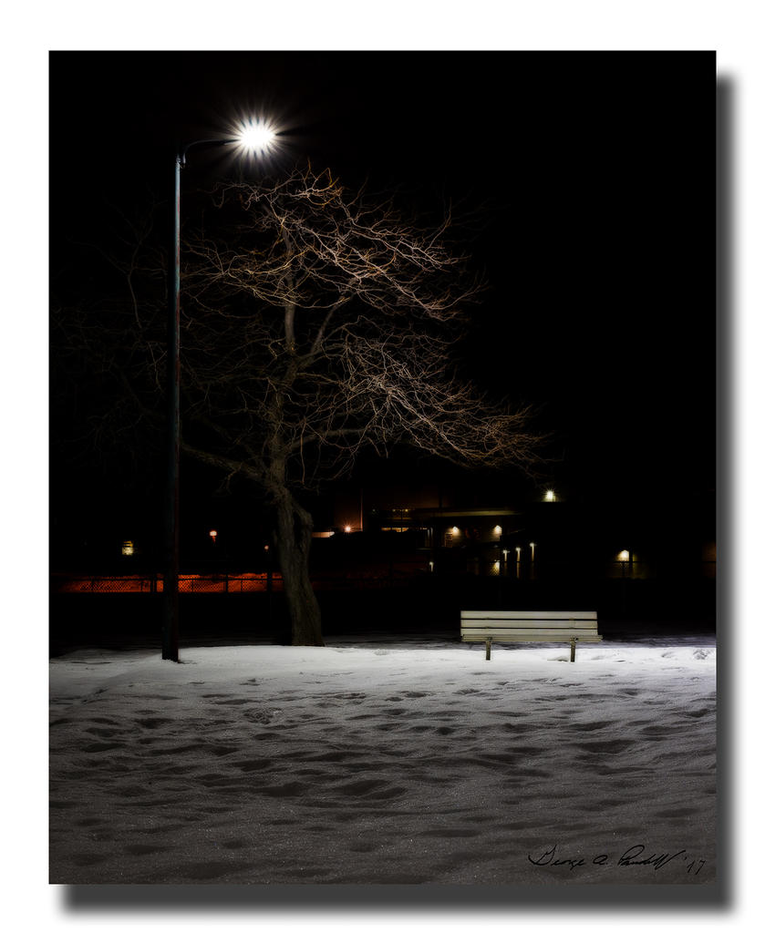 W_DFG_7035.jpg
