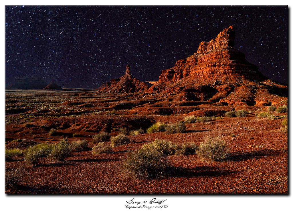 W_DFG_8368_.jpg